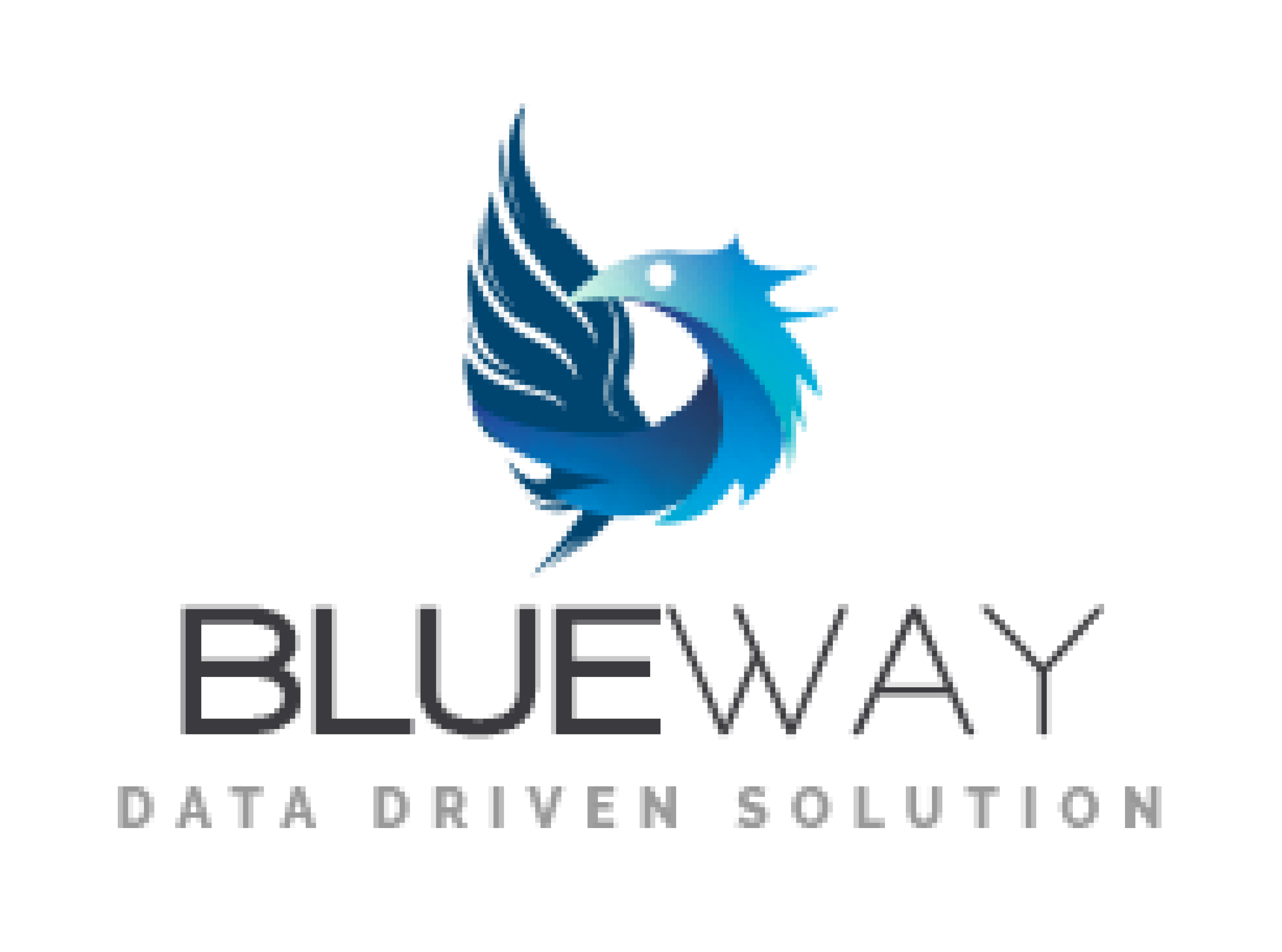 logo Blueway partenaire data decideom