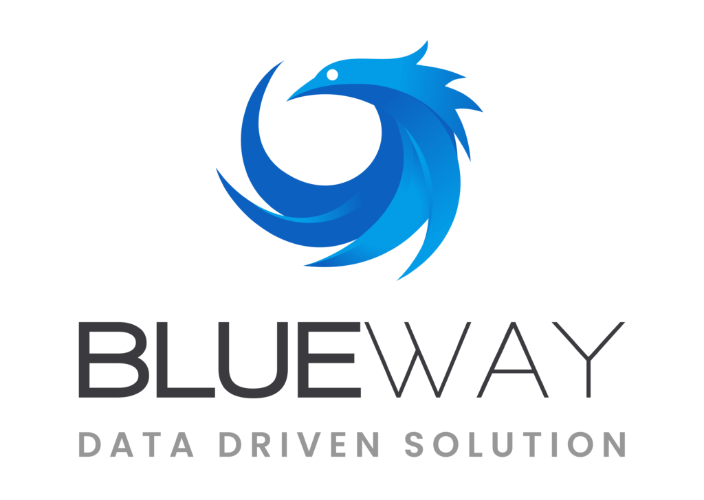 Logo Blueway solution data